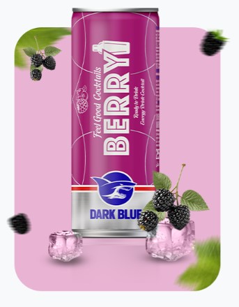 DARK BLUE ENERGY DRİNK 500 ml - 24 pieces - Görsel 2